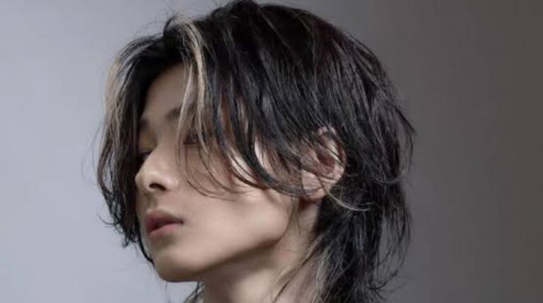 Wolf Haircut Men